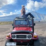 WhatsApp Image 2025-01-04 at 16.30.45