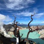 WhatsApp Image 2025-01-04 at 16.30.47 (3)