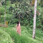 WhatsApp Image 2025-01-04 at 16.40.33 (1)