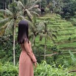 WhatsApp Image 2025-01-04 at 16.40.33