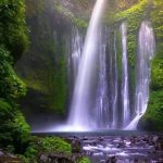 WhatsApp Image 2025-01-04 at 20.26.17