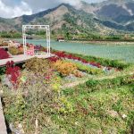 WhatsApp Image 2025-01-04 at 20.26.19 (1)