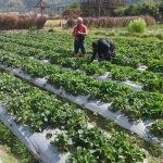 WhatsApp Image 2025-01-04 at 20.26.19 (2)