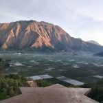 WhatsApp Image 2025-01-04 at 20.26.19 (3)