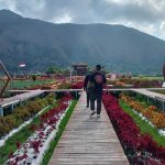 WhatsApp Image 2025-01-04 at 20.26.20 (1)