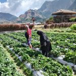 WhatsApp Image 2025-01-04 at 20.26.20