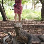 WhatsApp Image 2025-01-04 at 21.56.49 (1)