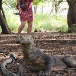 WhatsApp Image 2025-01-04 at 21.56.49