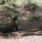 WhatsApp Image 2025-01-04 at 21.56.49 (2)