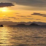 WhatsApp Image 2025-01-04 at 21.56.53